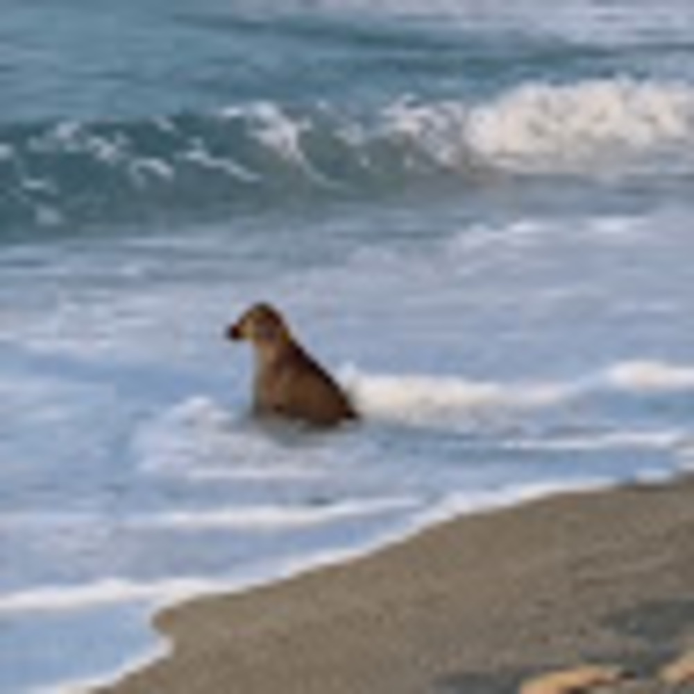 Meet your Posher, Teyjah b